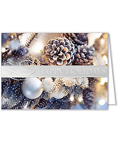 Cards: Silver Embossed Holiday Card